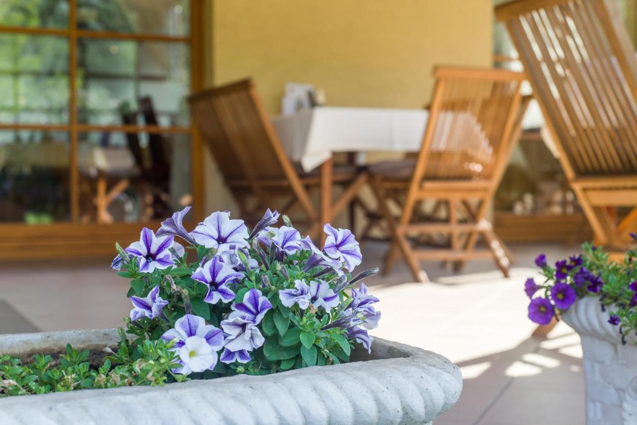 Regia Panzio Bed & Breakfast Halaszi Ngoại thất bức ảnh